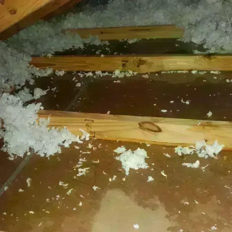 Attic Water Damage in North Fort Myers, FL