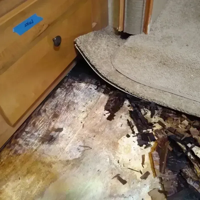 Best Wood Floor Water Damage Service in North Fort Myers, FL